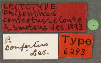 Media type: image;   Entomology 6293 Aspect: labels